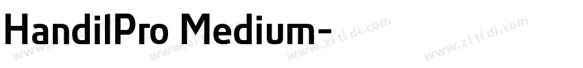 HandilPro Medium字体转换